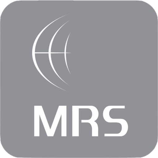 Logo Mrs Cinza